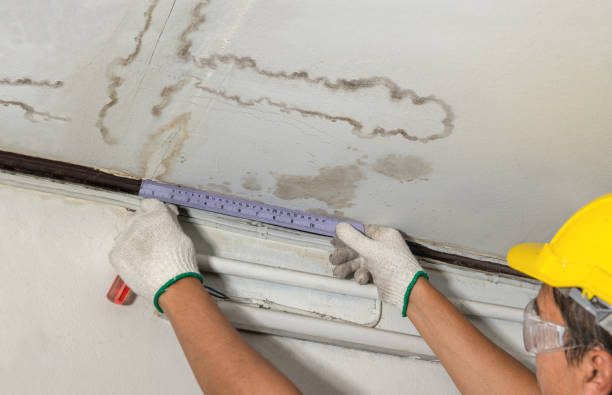 Reliable Structural Drying contractor in Orient, WA by Water Damage Irwin